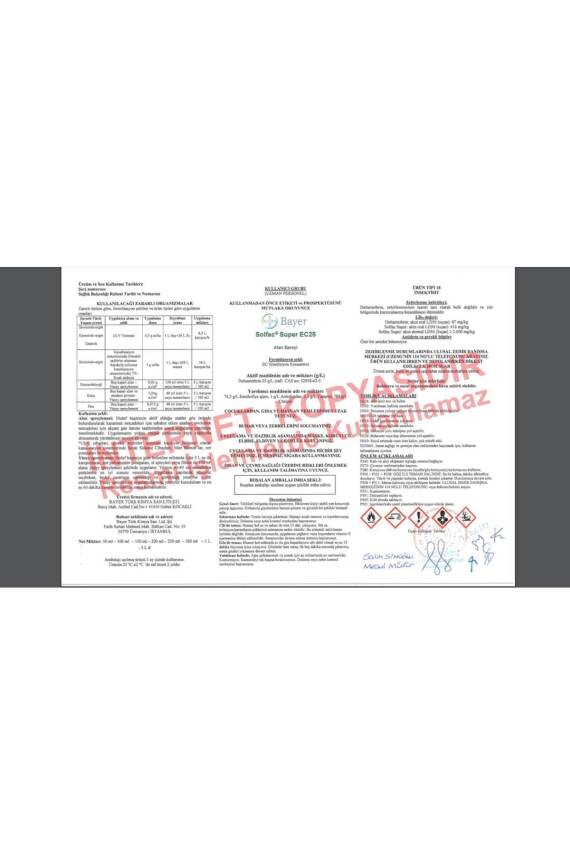 Bayer Solfac Super EC25 100ml Haşere Kara Sinek, Sivri Sinek - 2