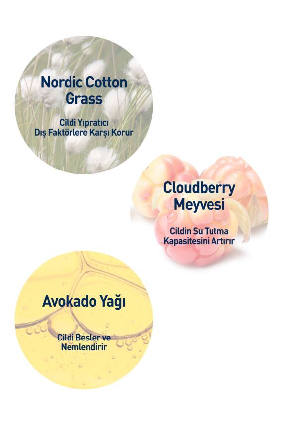 Celenes Yoğun Nemlendirici Cloudberry El Bakım Kremi Kuru Ve Hassas Ciltler 75 ml - 6