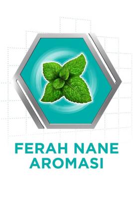 Corega Protez Yapıştırıcı Krem Naneli 40gr x5 Adet - 4