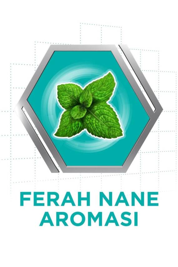 Corega Protez Yapıştırıcı Krem Naneli 40gr x5 Adet - 4