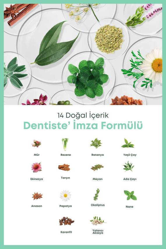Dentiste Çinko Ve Cpc'li Ağız Gargarası 200ml - 7