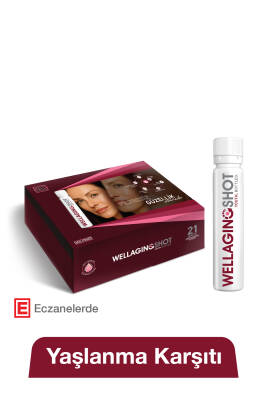 Hangover Shot Well Aging Shot 21'li Kutu - HANGOVERSHOT