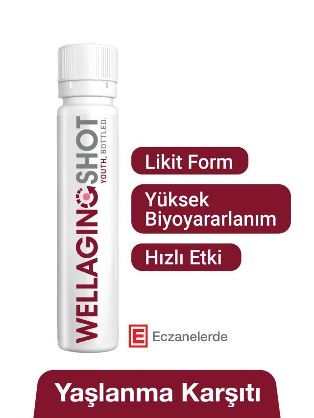 Hangover Shot Well Aging Shot 21'li Kutu - 2