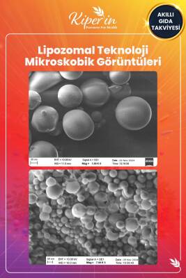 Kiperin Lipozomal Multivitamin 13 Vitamin & 6 Mineral Cilt - Saç - Tırnak & Enerji | Akıllı Gıda Takviyesi - 6