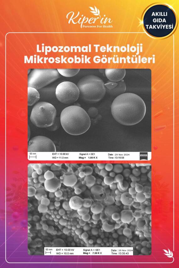 Kiperin Lipozomal Multivitamin 13 Vitamin & 6 Mineral Cilt - Saç - Tırnak & Enerji | Akıllı Gıda Takviyesi - 6