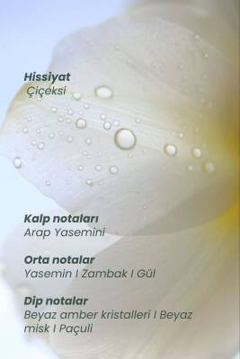 Matsu Myth Saç Parfümü | Yasemin & Beyaz Amber 50ml - 4