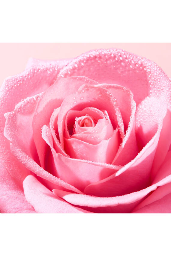 Nuxe Gül Özlü Tazeleyici Tonik 200ml - 6