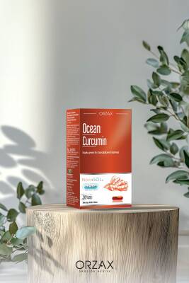 Ocean Curcumin 30 Licaps Kapsul - 5