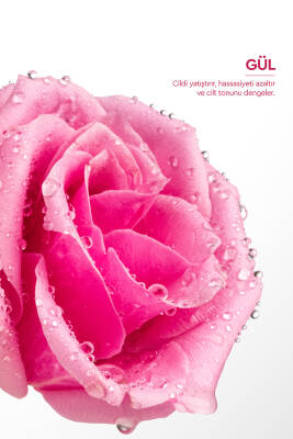 Otacı Gül Kürü %100 Doğal Gül Suyu 150ml x 2 adet - 4