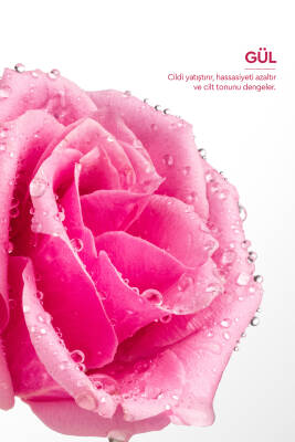 Otacı Gül Kürü %100 Doğal Gül Suyu 250 ml - 4