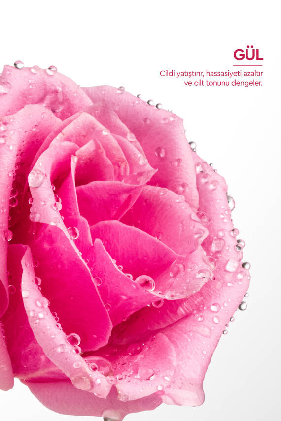 Otacı Gül Kürü % 100 Doğal Gül Suyu 150 ml - 4