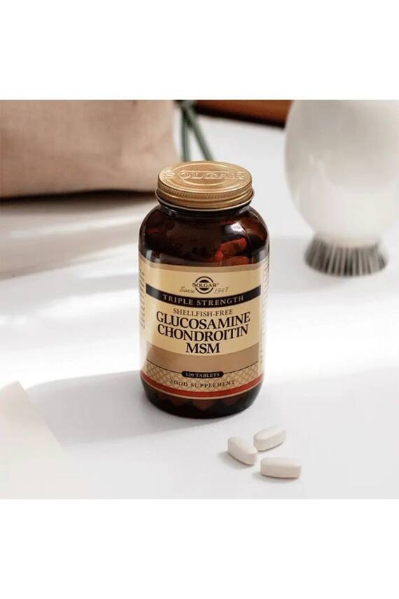 Solgar Glucosamine Chondroitin Msm 60 Tablet - 2