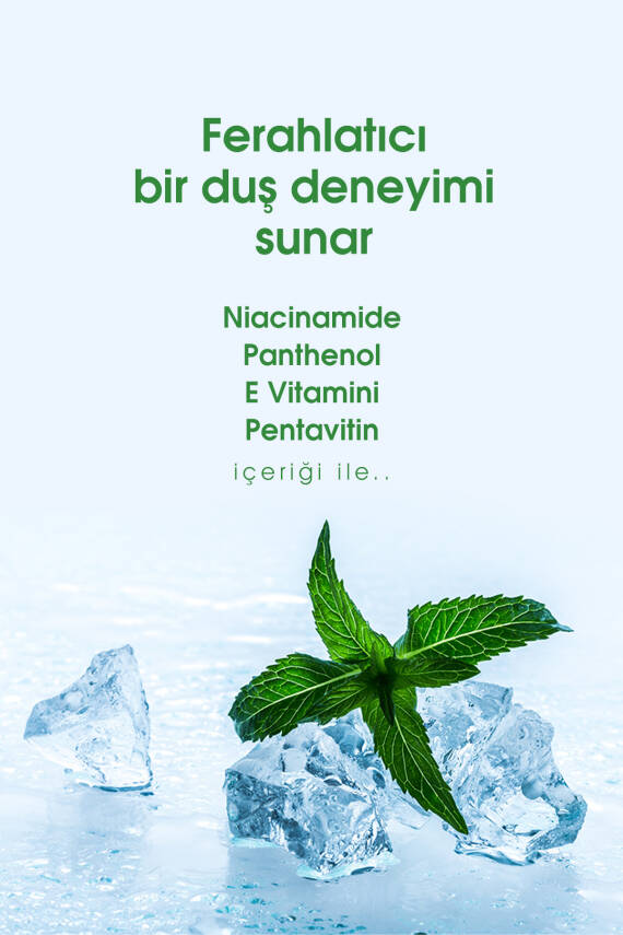 Tto Clinic Duş Jeli - Mentol Tazeliği 500 ml Nemlendirir Onarır - 2
