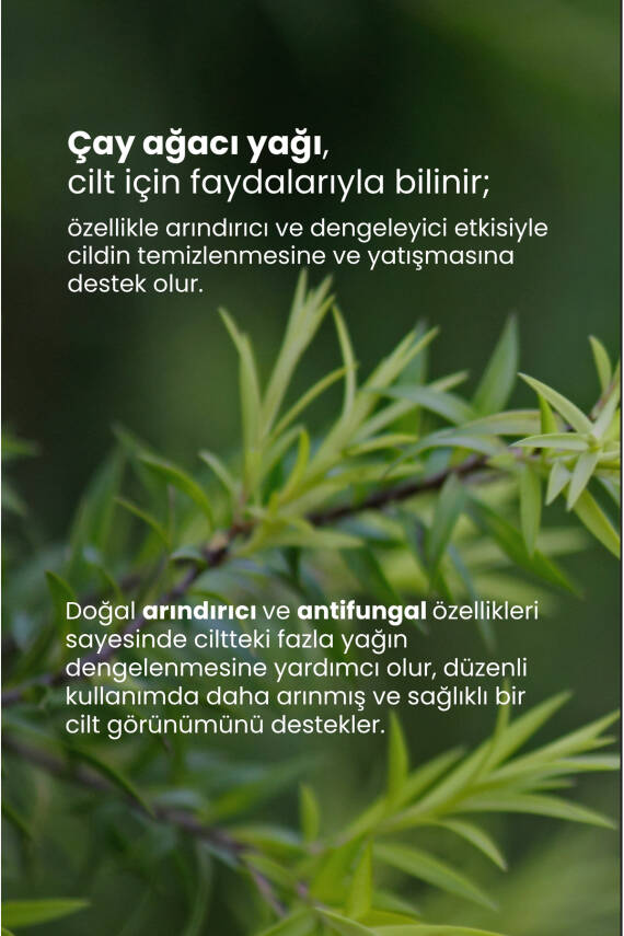 Tto Çay Ağacı Yağı 10ml - 3