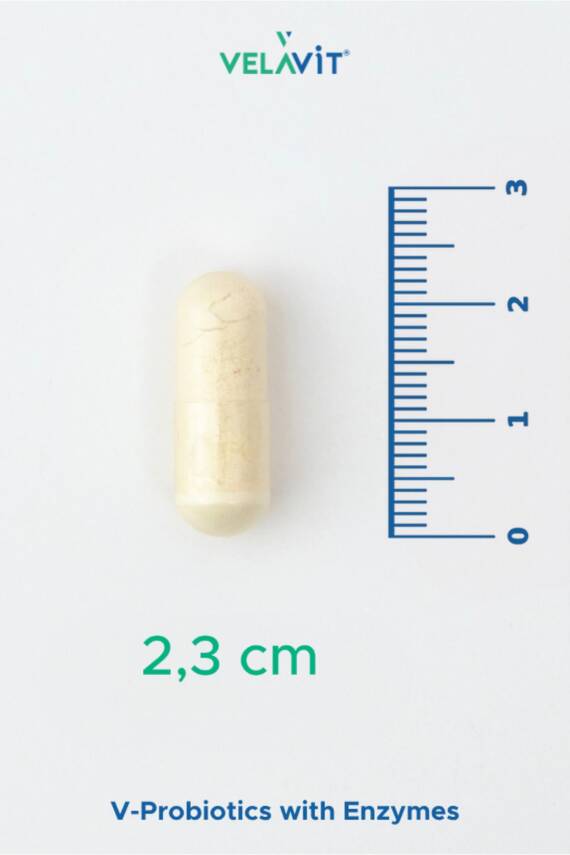 Velavit V-Probiotics with Enzymes Takviye Edici Gıda 30 Kapsül - 2