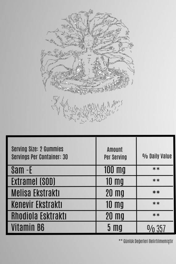 Vita Bear Relax Bear Stres, Kaygı, Endişe Ve Üzüntü Giderici Rahatlatıcı Gummy Vitamin - 5